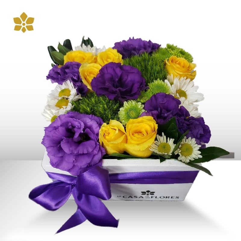 Clementina´s Box