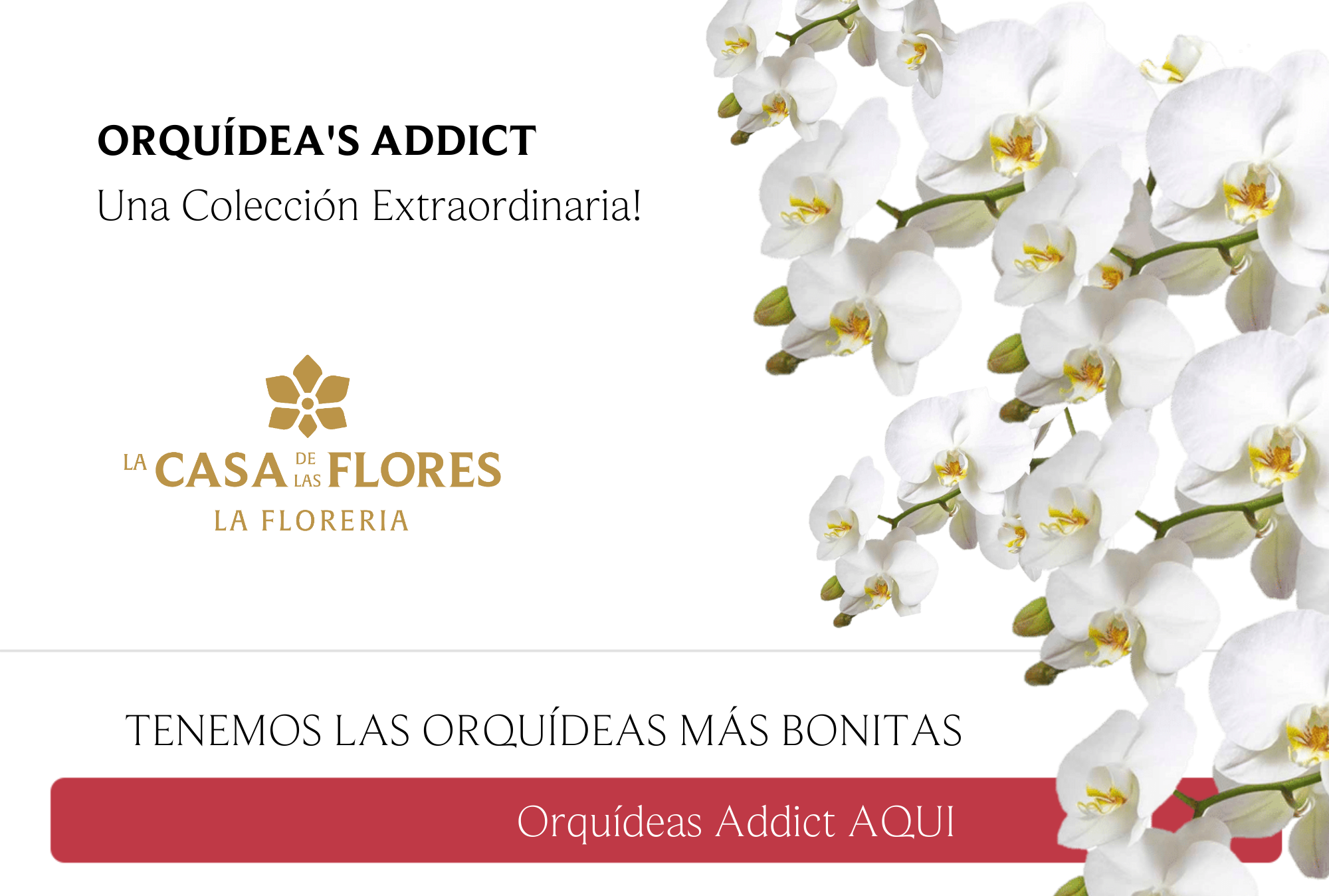 Arreglos florales a domicilio
