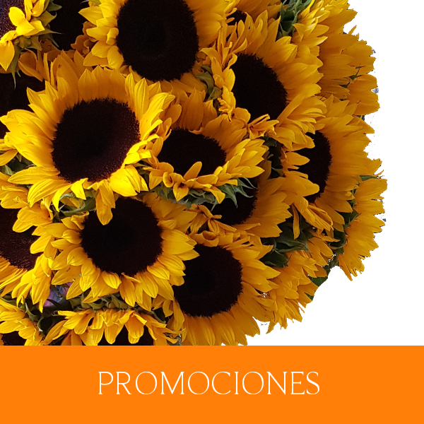 Promociones