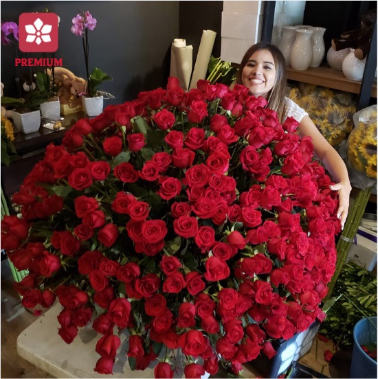 Canasta 500 Rosas