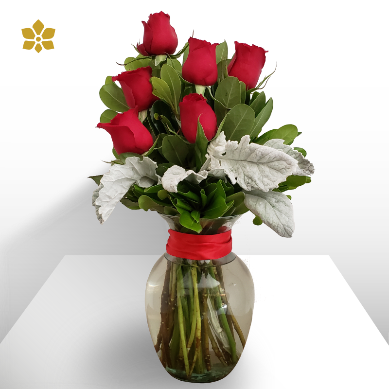 6 Rosas