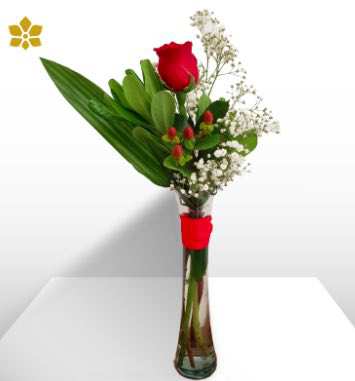 1 Rosa Roja