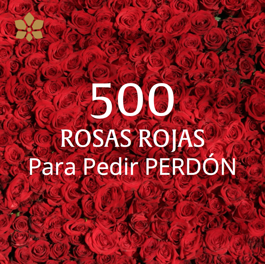 Arreglo de 500 Rosas