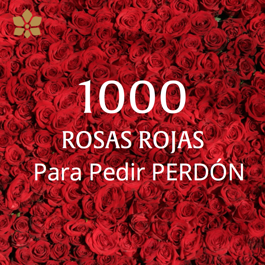 Arreglo de 1,000 Rosas
