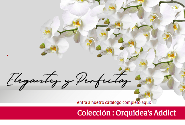 Orquideas Addict