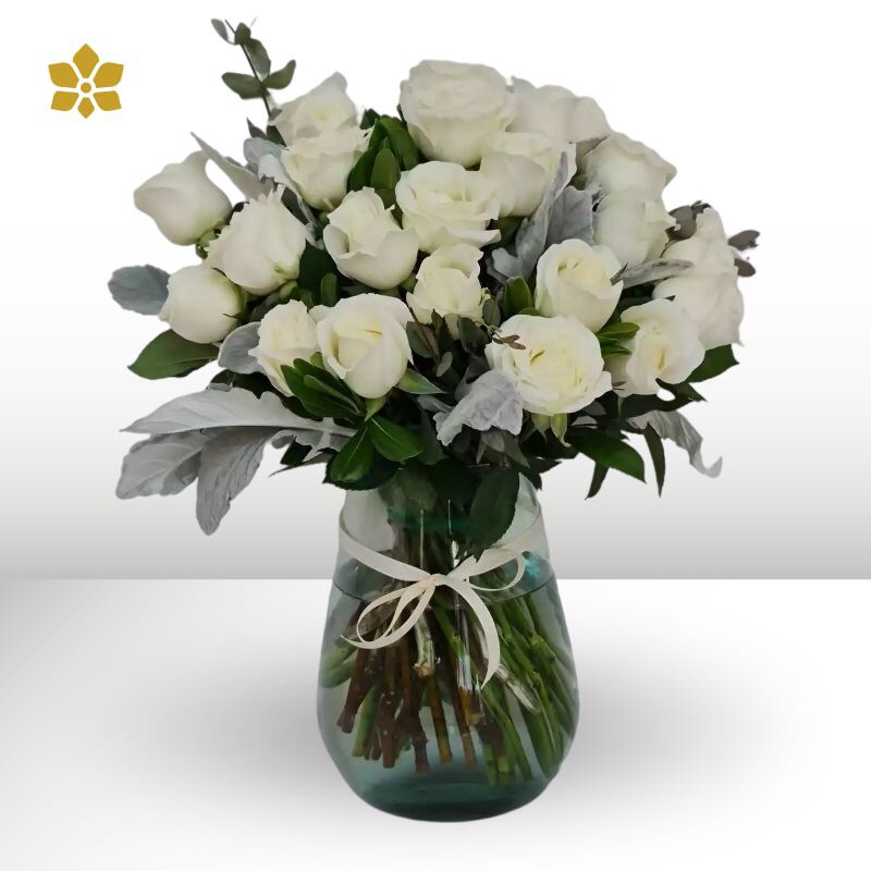 36 Rosas Blancas