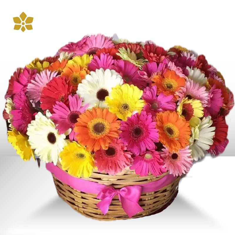Gerbera Basket