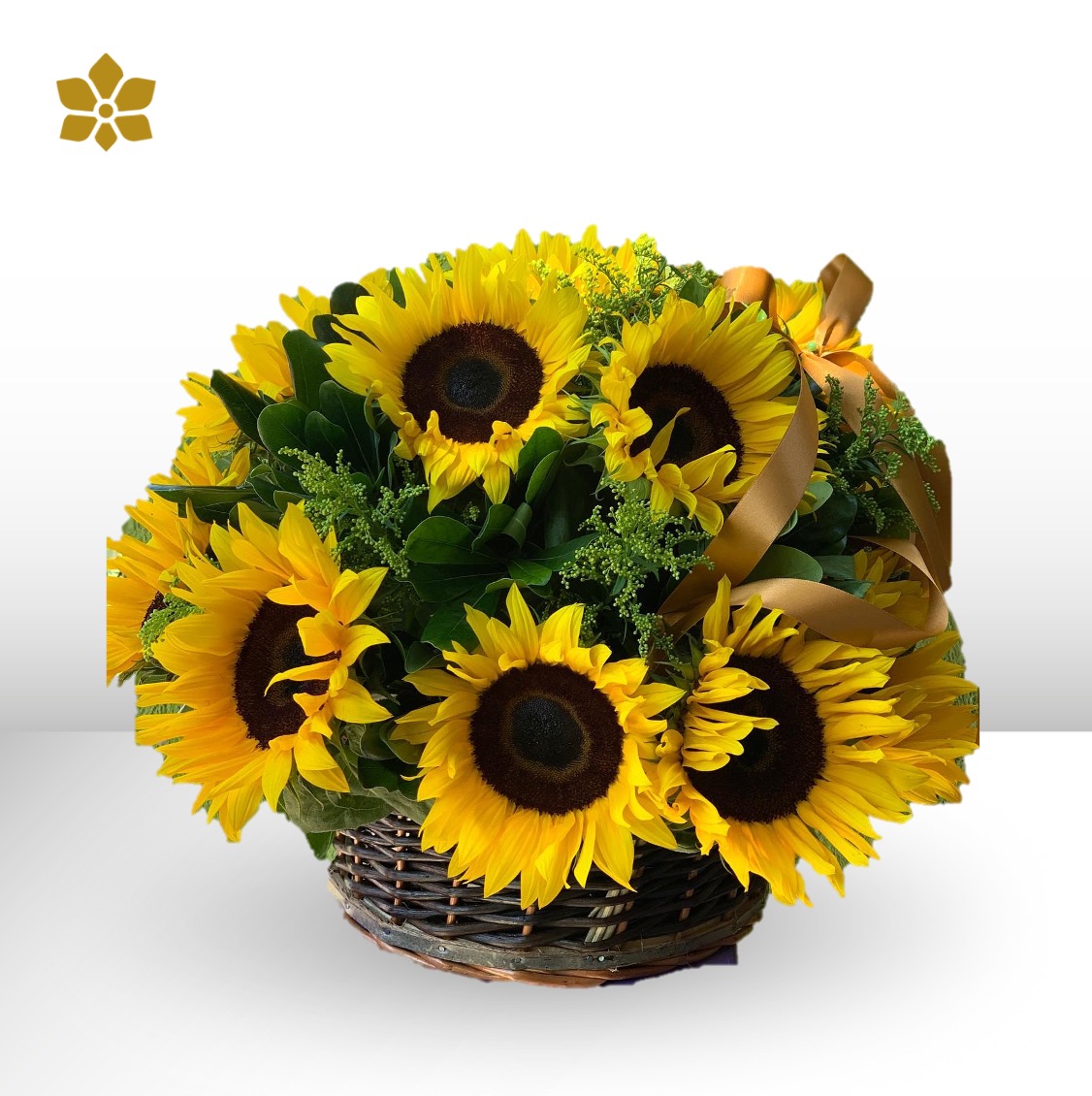 Sunflower Dream