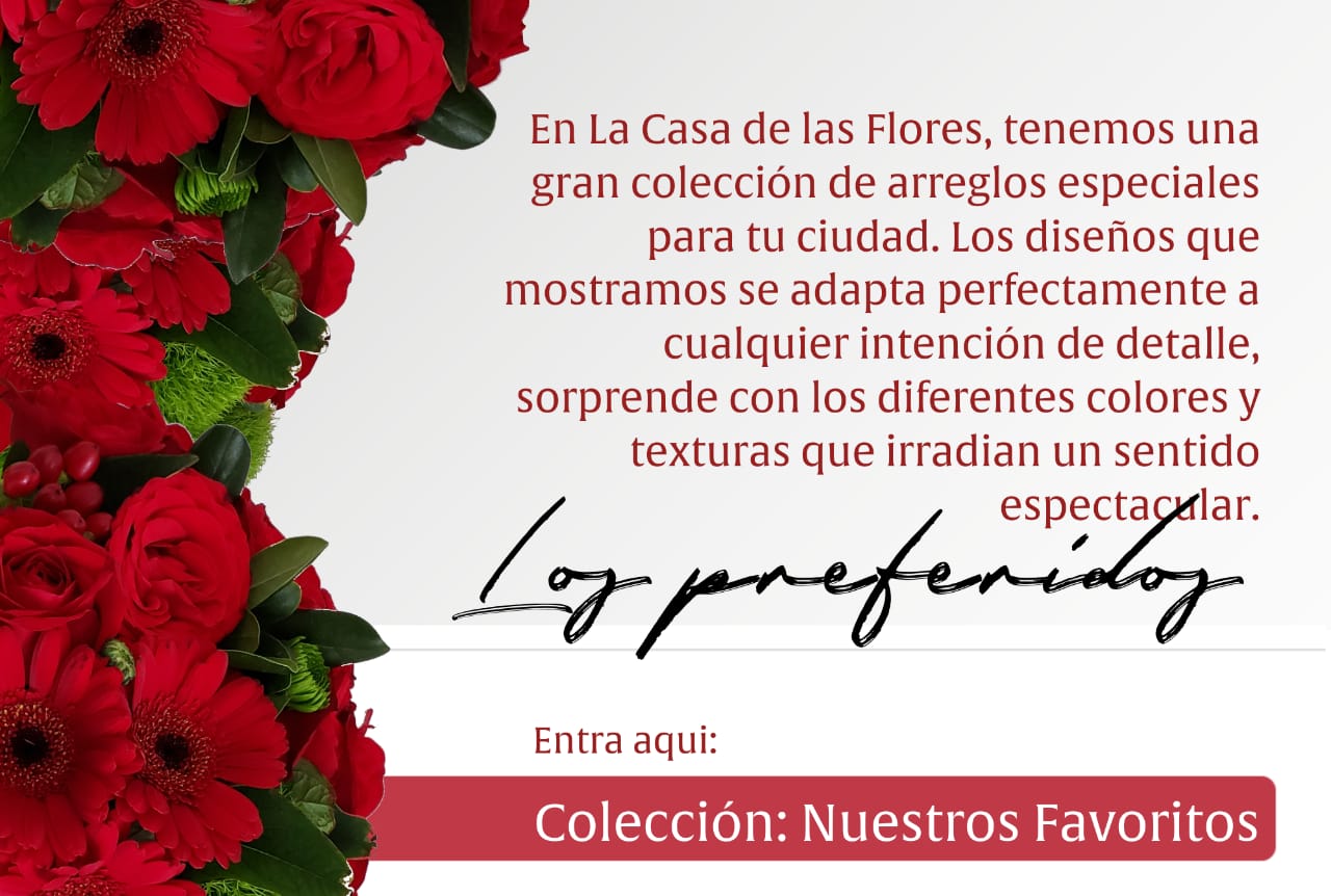 Nuestros Favoritos