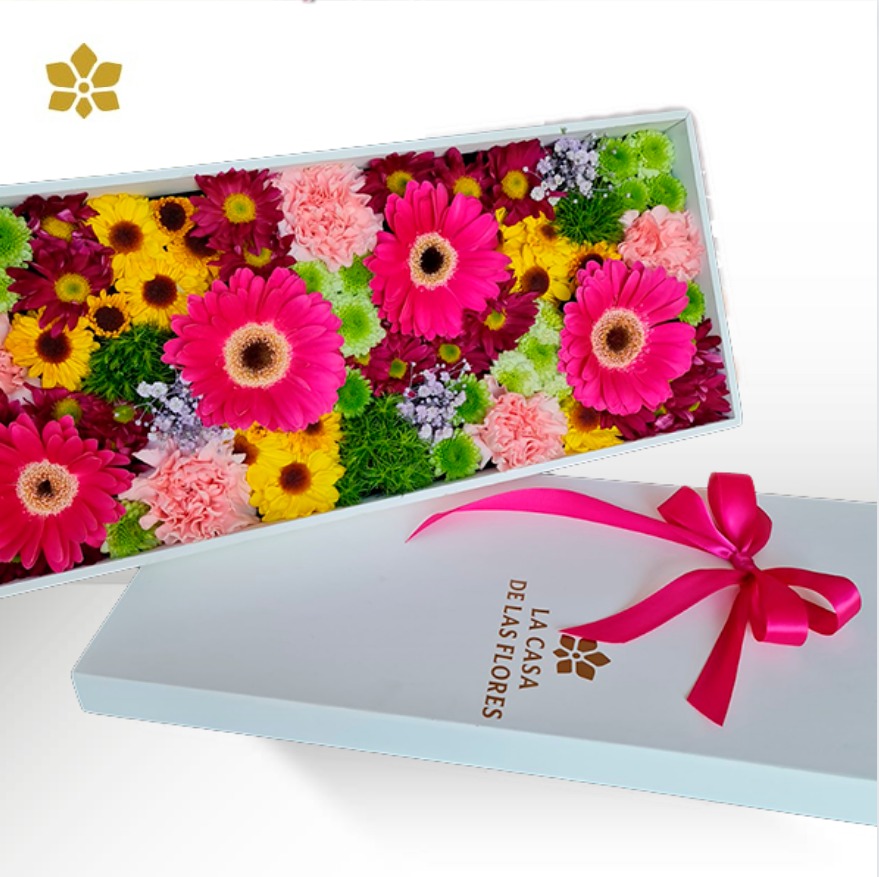 Malva Box